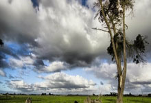 TK体育：AC米兰官宣与赖因德斯续约至2030年 球员年薪将翻倍.