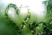 TK体育：三个嫁给香港富豪的奥运冠军：郭晶晶最幸福、伏明霞最低调.